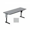 Correll 60" Metal & Laminate Panel Leg Folding Table, Gray Granite (SP2460PX-15)